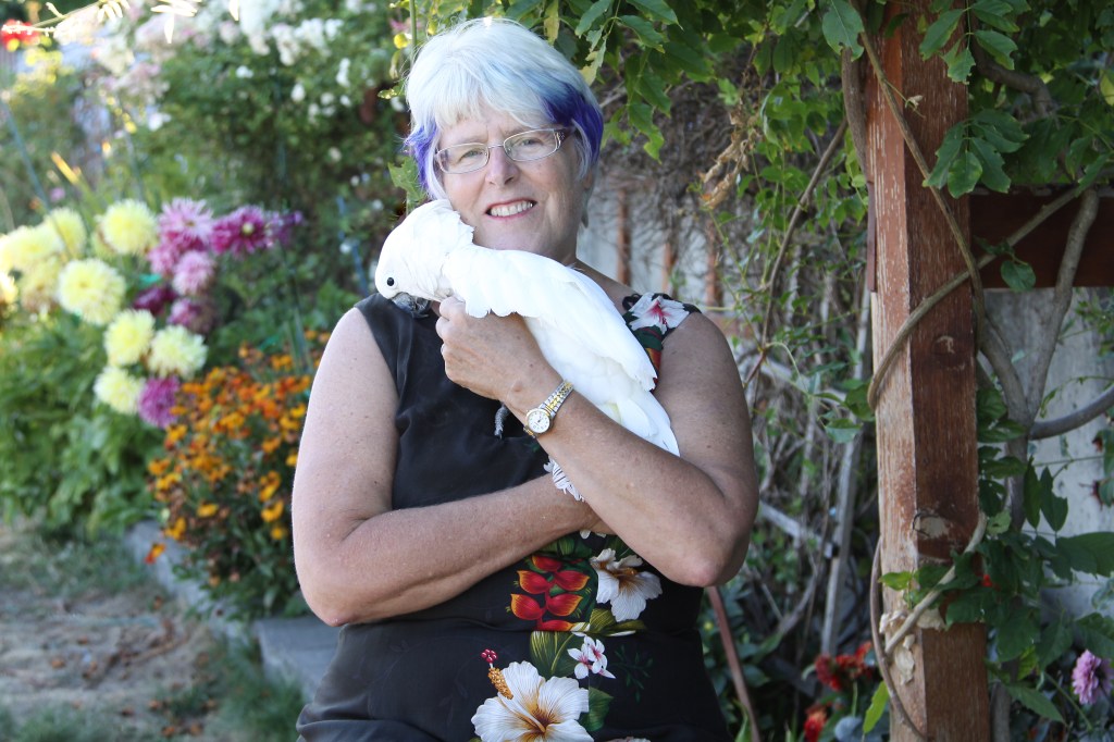 Diana Lynn Creates